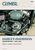 CLYMER - CM420 - Manual - Shovelheads
