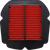 EMGO - 12-93838 - Air Filter - '09-'17 Suzuki Gladius, SFV650, SV650
