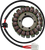 RICK'S MOTORSPORT ELECTRIC - 21-035 - OE Style Stator - '00 Ducati Biposto
