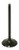 INTAKE VALVE