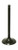 INTAKE VALVE