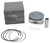 PISTON KIT CAST 92.96/STD 10.0:1 POL