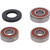 PIVOT WORKS - 25-1422-P - WHEEL BEARING KIT PREMIUM - '93-'19 BMW, Honda, and Yamaha CRF150F, CRF230F, XP500