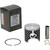 PISTON KIT CAST RACE EVOLUTION 51.96/STROKER KTM