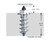 3/4"-18MM SHOULDER SCREW STUDS QTY 200