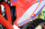 POLISPORT - 8487500001 - GRAPHIC GUARD CLEAR HONDA