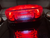CUSTOM DYNAMICS - PB-TL-LPBW-S - Taillight - with Bottom License Plate Illumination Window - Smoke