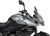 WINDSCREEN SPORT DARK SMOKE TRI