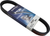 Dayco Products - HP3019 - Drive Belt