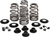KIBBLEWHITE - 20-21300 - Spring Kit - .610" - Evolution/Twin Cam