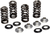 KIBBLEWHITE - 80-82300 - Spring Kit