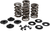KIBBLEWHITE - 20-21600 - Spring Kit - .675" - Evolution/Twin Cam