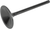 KIBBLEWHITE - 20-20323R - Intake Valve - Twin Cam