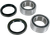 MOOSE OFFROAD - 0215-0417 - Wheel Bearing Kit - Rear - Yamaha YFZ 450