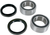 MOOSE OFFROAD - 0215-0417 - Wheel Bearing Kit - Rear - Yamaha YFZ 450