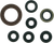 MOOSE OFFROAD - M822201 - Motor Oil Seals - Arctic Cat/Kawasaki/Suzuki