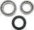 MOOSE OFFROAD - A25-1010 - Wheel Bearing Kit - Rear - Moto 4/Big Bear