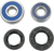 MOOSE OFFROAD - A25-1206 - Wheel Bearing Kit - Rear - Honda