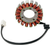 RICK'S MOTORSPORT ELECTRIC - 21-227 - Stator - Kawasaki