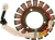 RICK'S MOTORSPORT ELECTRIC - 21-219 - Stator - Kawasaki