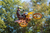 PIRELLI - 3107400 - Tire - Scorpion MX32 Mid Hard - Rear - 100/90-19 - 57M