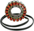 RICK'S MOTORSPORT ELECTRIC - 21-008 - Stator - Aprilia