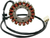 RICK'S MOTORSPORT ELECTRIC - 21-138 - Stator - Honda