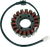 RICK'S MOTORSPORT ELECTRIC - 21-409 - Stator - Yamaha