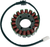 RICK'S MOTORSPORT ELECTRIC - 21-409 - Stator - Yamaha