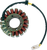 RICK'S MOTORSPORT ELECTRIC - 21-113 - Stator - Honda