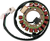 RICK'S MOTORSPORT ELECTRIC - 21-910 - Stator - Yamaha