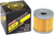 PRO FILTER - PF-131 - Replacement Oil Filter