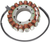 RICK'S MOTORSPORT ELECTRIC - 21-003 - Stator - Aprilia