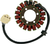 RICK'S MOTORSPORT ELECTRIC - 21-129 - Stator - Honda