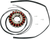 RICK'S MOTORSPORT ELECTRIC - 21-309 - Stator - Suzuki