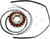 RICK'S MOTORSPORT ELECTRIC - 21-309 - Stator - Suzuki