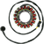 RICK'S MOTORSPORT ELECTRIC - 21-709 - Stator - Kawasaki