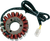 RICK'S MOTORSPORT ELECTRIC - 21-306 - Stator - Suzuki