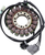 RICK'S MOTORSPORT ELECTRIC - 21-036 - Stator - Triumph