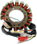 RICK'S MOTORSPORT ELECTRIC - 21-616H - Stator - Honda