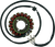 RICK'S MOTORSPORT ELECTRIC - 21-303 - Stator - Suzuki