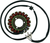 RICK'S MOTORSPORT ELECTRIC - 21-303 - Stator - Suzuki