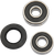 PIVOT WORKS - PWRWK-H28-001 - Wheel Bearing Kit - Rear - Honda