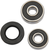 PIVOT WORKS - PWRWK-H28-001 - Wheel Bearing Kit - Rear - Honda
