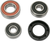 PIVOT WORKS - PWRWK-K15-001 - Wheel Bearing Kit - Rear - KLX/DR-Z 110