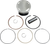 WISECO - 4989M10100 - Piston Kit - 101.00 mm - Honda