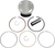 WISECO - 4989M10100 - Piston Kit - 101.00 mm - Honda