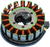 RICK'S MOTORSPORT ELECTRIC - 21-558 - Stator