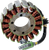 RICK'S MOTORSPORT ELECTRIC - 21-564 - Stator