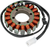 RICK'S MOTORSPORT ELECTRIC - 21-222 - Stator - Kawasaki